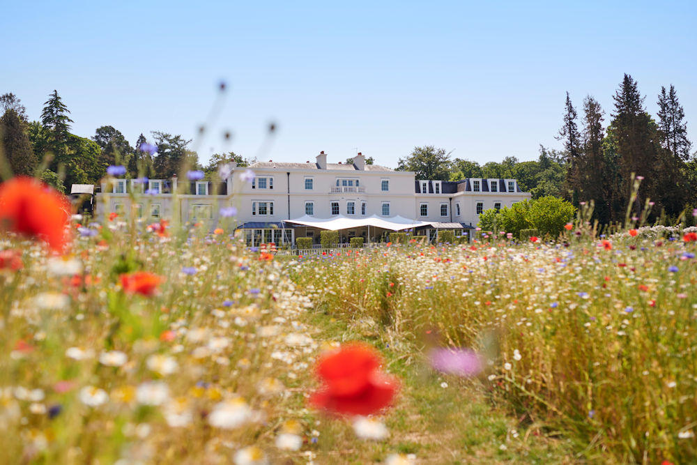 Coworth Park Summer Meadow